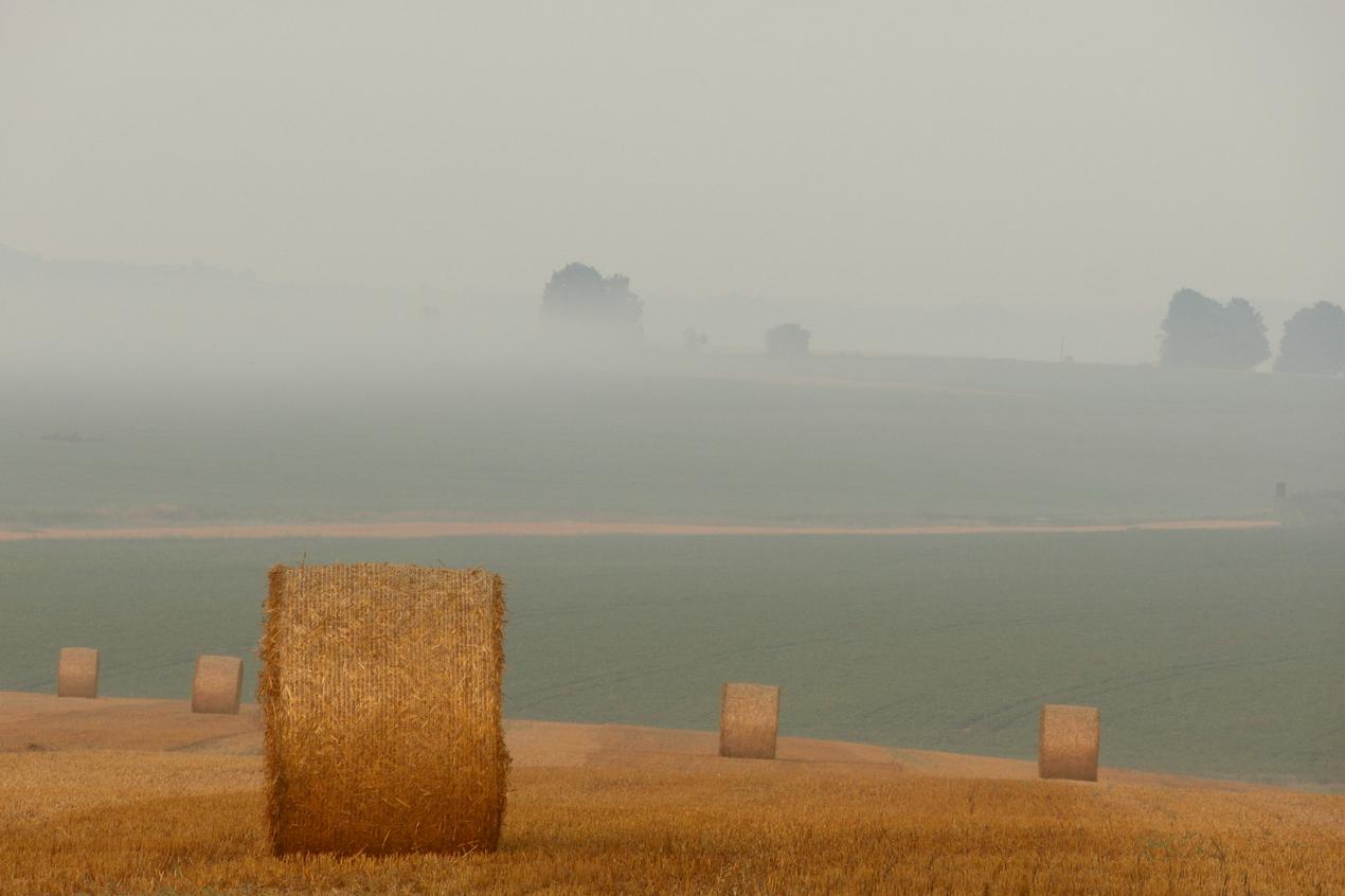 Et voluptatem odio placeat quia asperiores deserunt unde dolore culpa